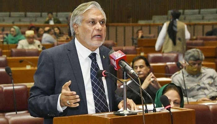 Deputy Prime Minister (DPM) Ishaq Dar speaks on the floor of the National Assembly. —X/@NAofPakistan/File