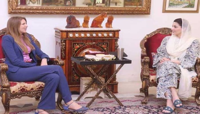 وزیرِاعلیٰ پنجاب مریم نواز اور برطانوی ہائی کمشنر جین میریٹ—فائل فوٹو