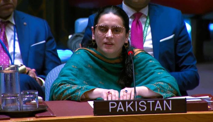 پہلگام حملہ: ثبوت تھے تو تحقیقات کی پیشکش قبول کرتے، پاکستان