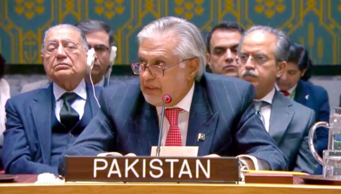 Deputy Prime Minister Senator Ishaq Dar addresses the United Nations Security Council (UNSC) on February 18, 2025. — APP