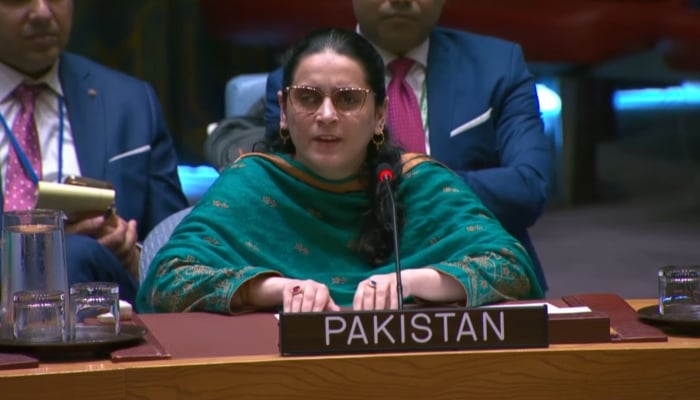 Pakistans UN Counsellor Saima Saleem addressing UNSC forum on May 23, 2024. — Screengrab/YouTube/@PTVNewsOfficial/File